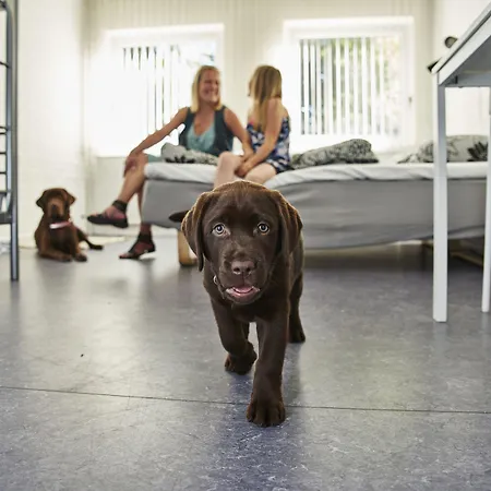 And Sleep - Billund Hostel *