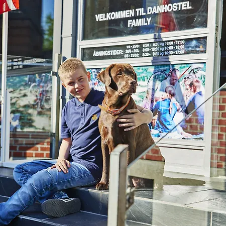 אכסניה And Sleep - Billund גרינדסטד